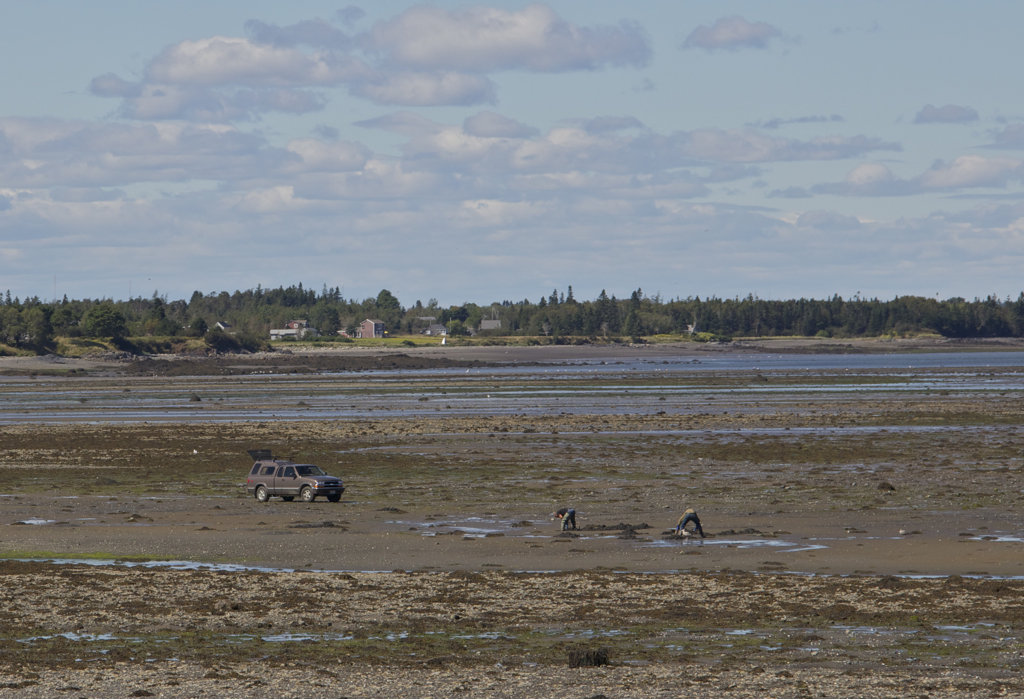 I'd be a little nervous taking my car out there...even if it was low tide!