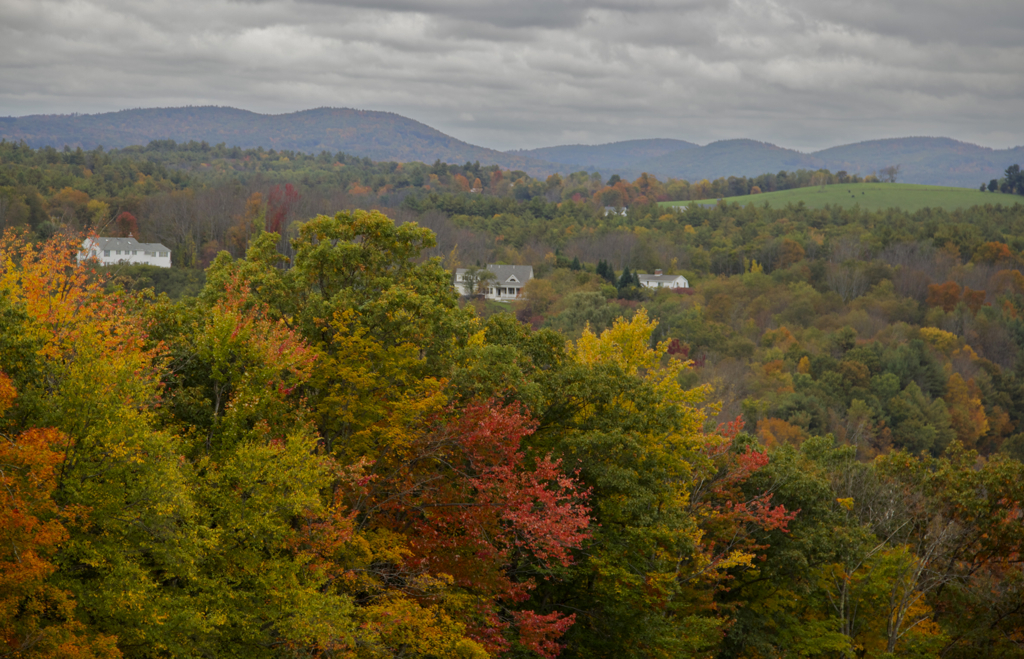 The fall colors earlier in the week