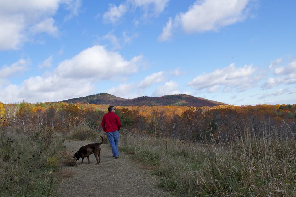 Past peak but Sunday was still a great day for a walk