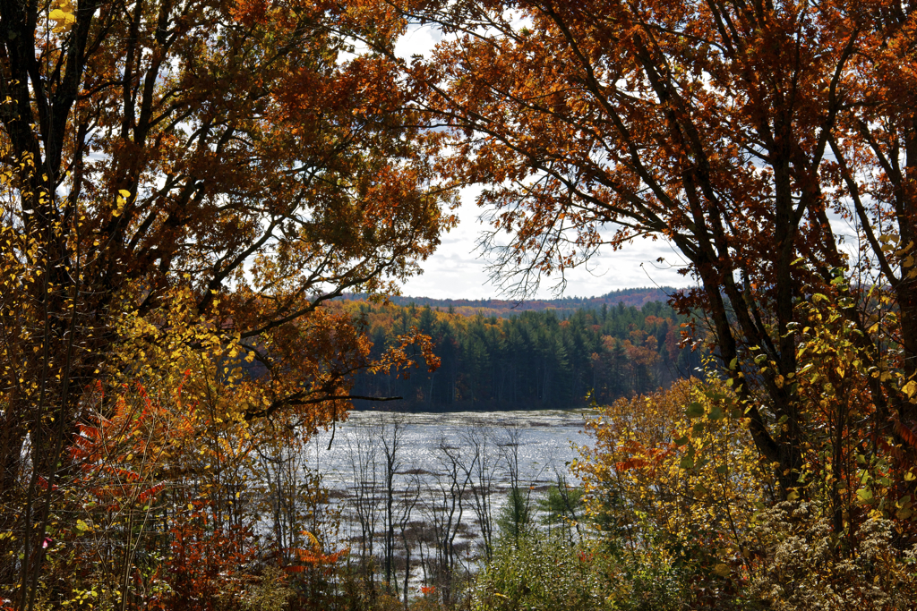 New Boston's Great Meadow