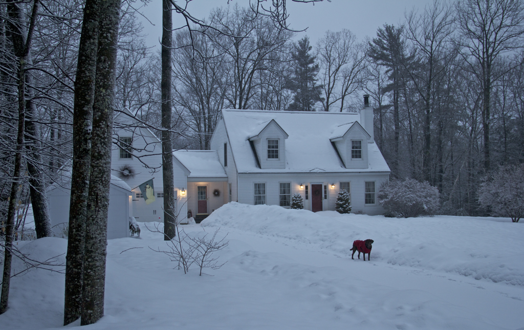 More snow...  